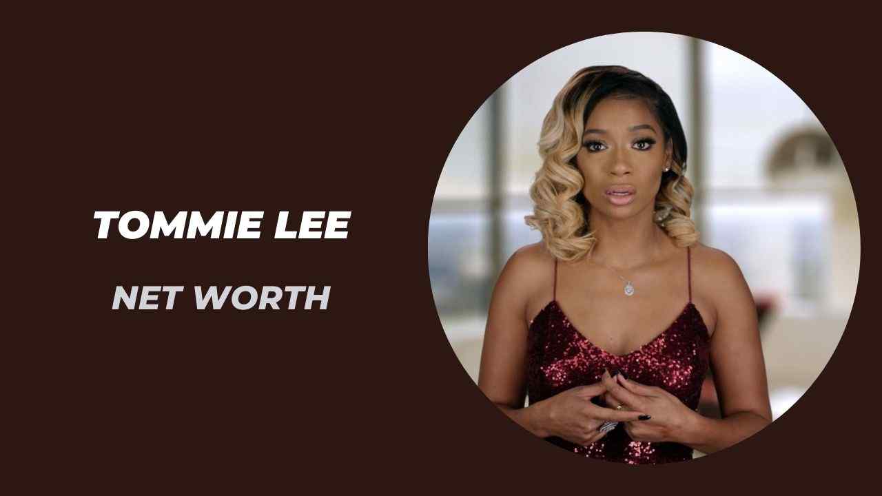 Tommie Lee Net Worth